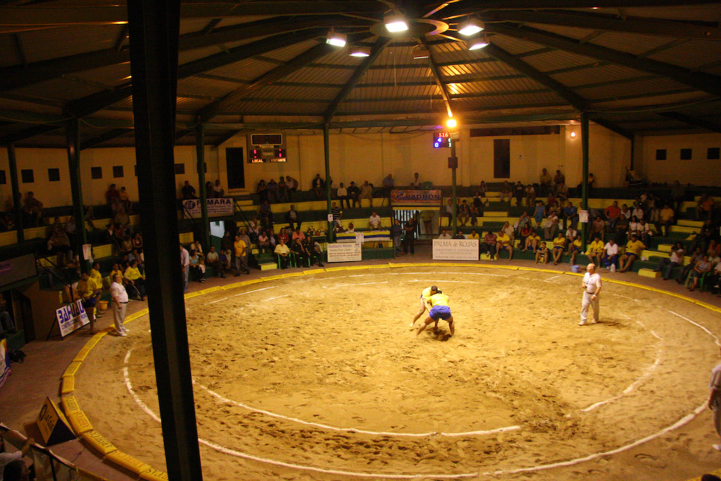 Canarian-wrestling_