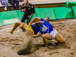 Canarian-wrestling_2