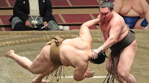 SUMO_guresi_sumo_wrestling_3