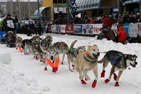 Iditarod_