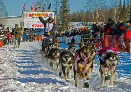 Iditarod_1
