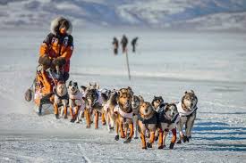 Iditarod_2