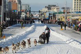 Iditarod_3
