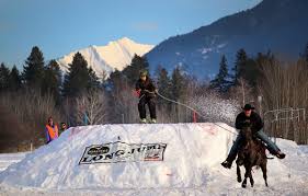 Skijoring