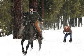 Skijoring_