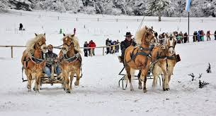 Skijoring_1