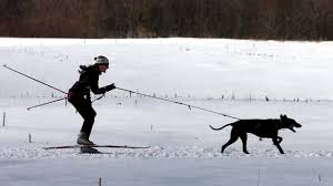 Skijoring_2