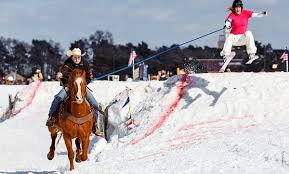 Skijoring_3