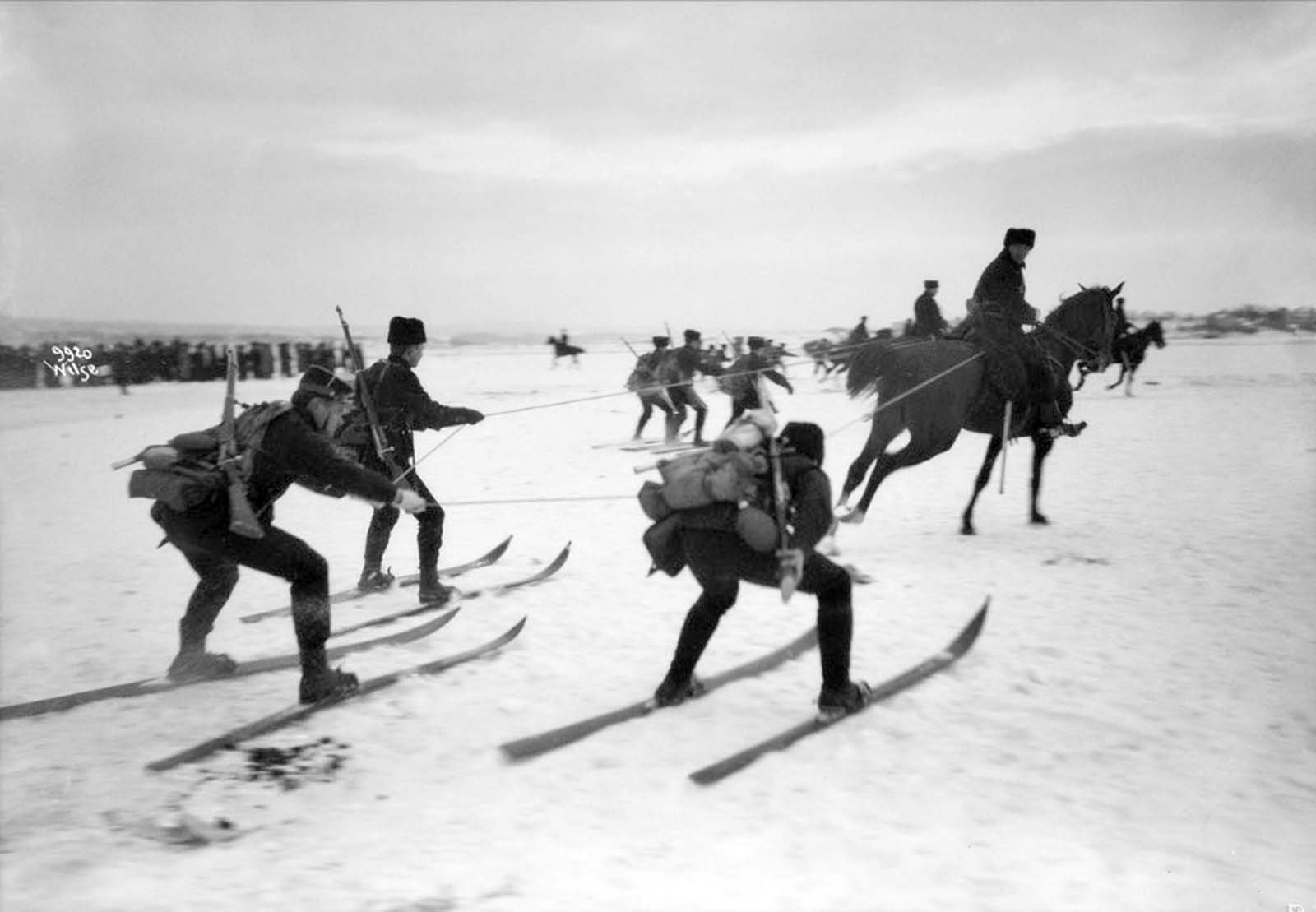 Skijoring_5