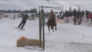 Skijoring_6