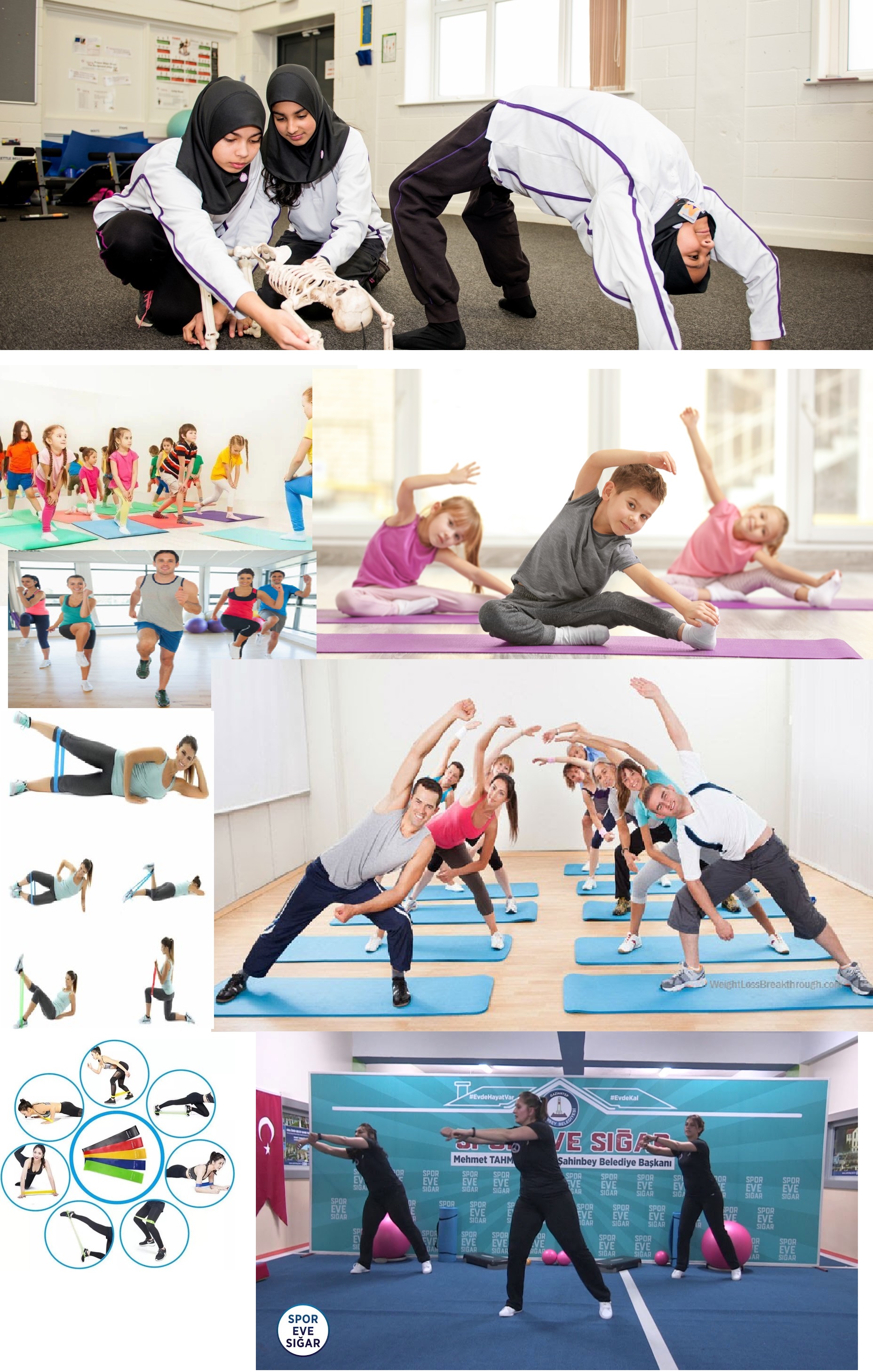 aerobik_okul_spor_anatomi